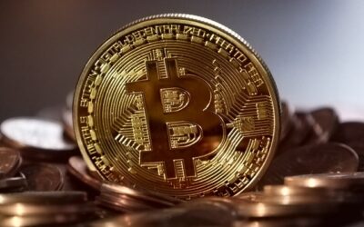 Waar vind je het laatste Crypto nieuws?